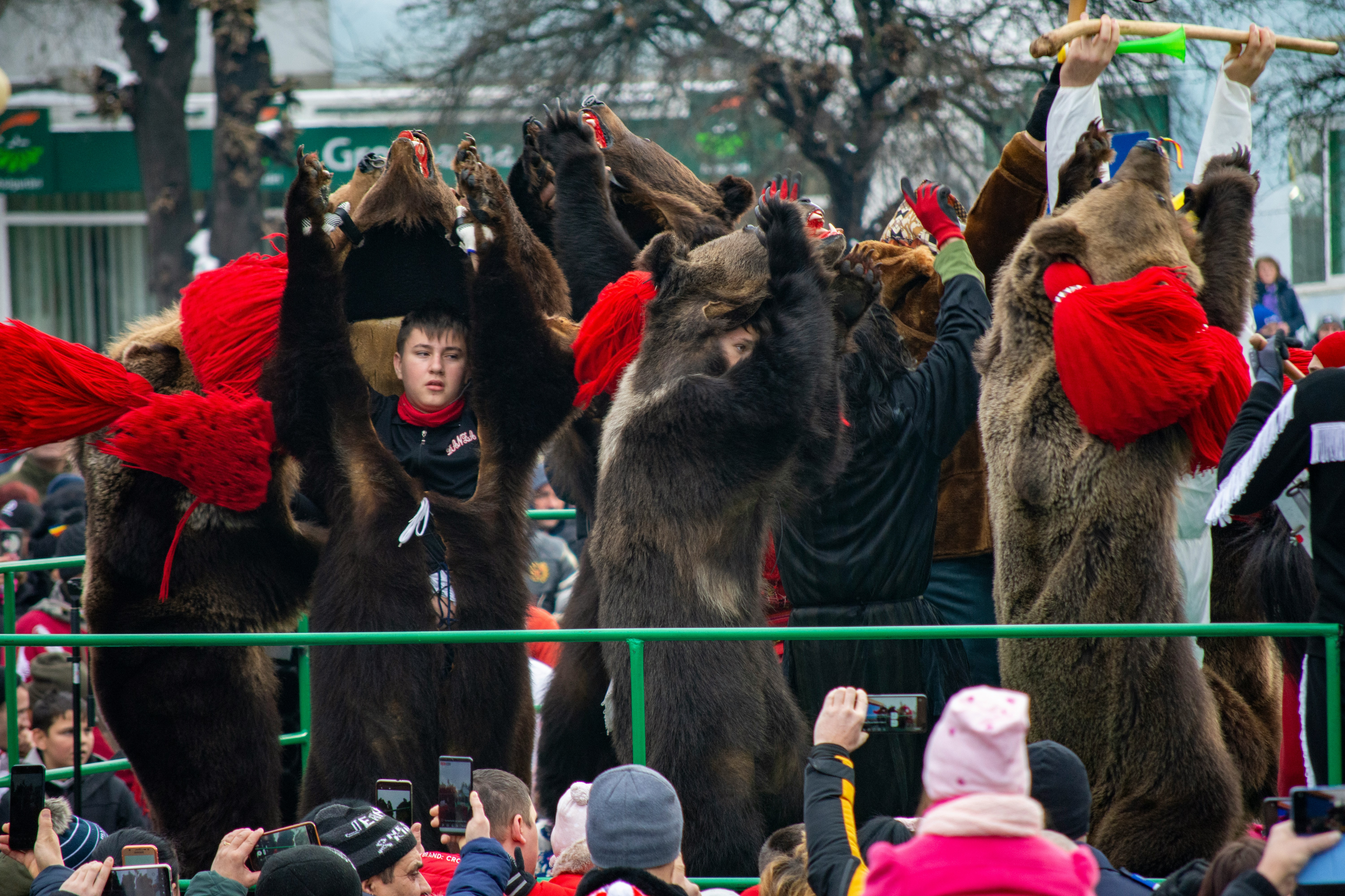 New Year Bear Dance Romania